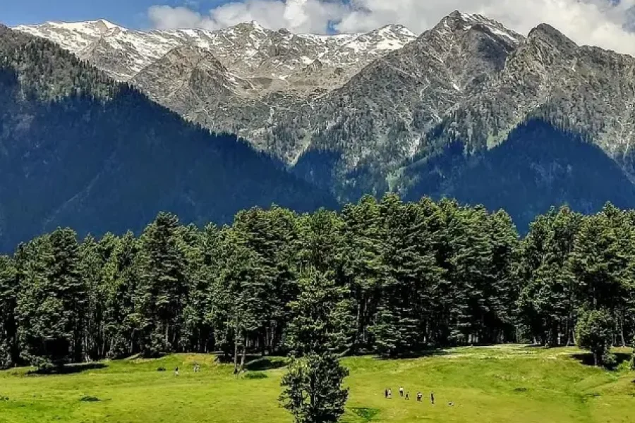 kashmir