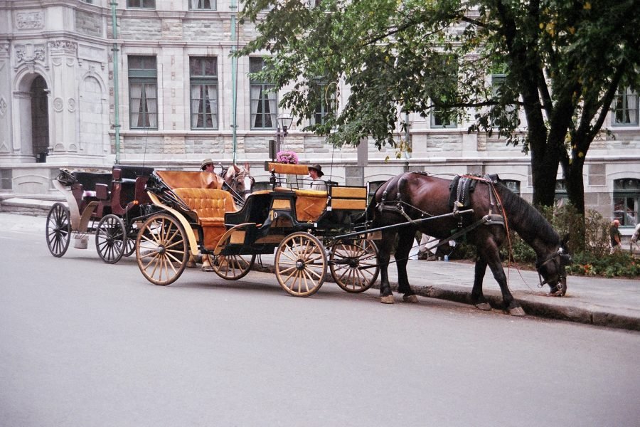 tanga ride srinagar