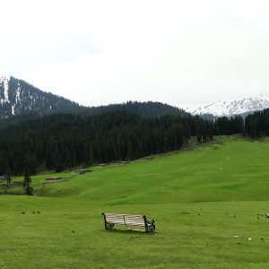 A_bench_with_scenic_view_Doodhpathri_southwest_Jammu_Kashmir_India_charzan_holidays