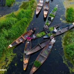 Aerial-view-of-floating-vegetable-market-in-Srinagar_charzan_holidays