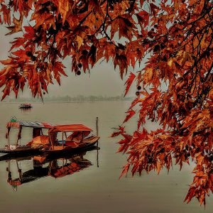 Autumn in kashmir_charzan_holidays