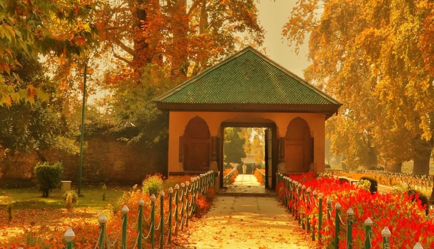 Kashmir in November