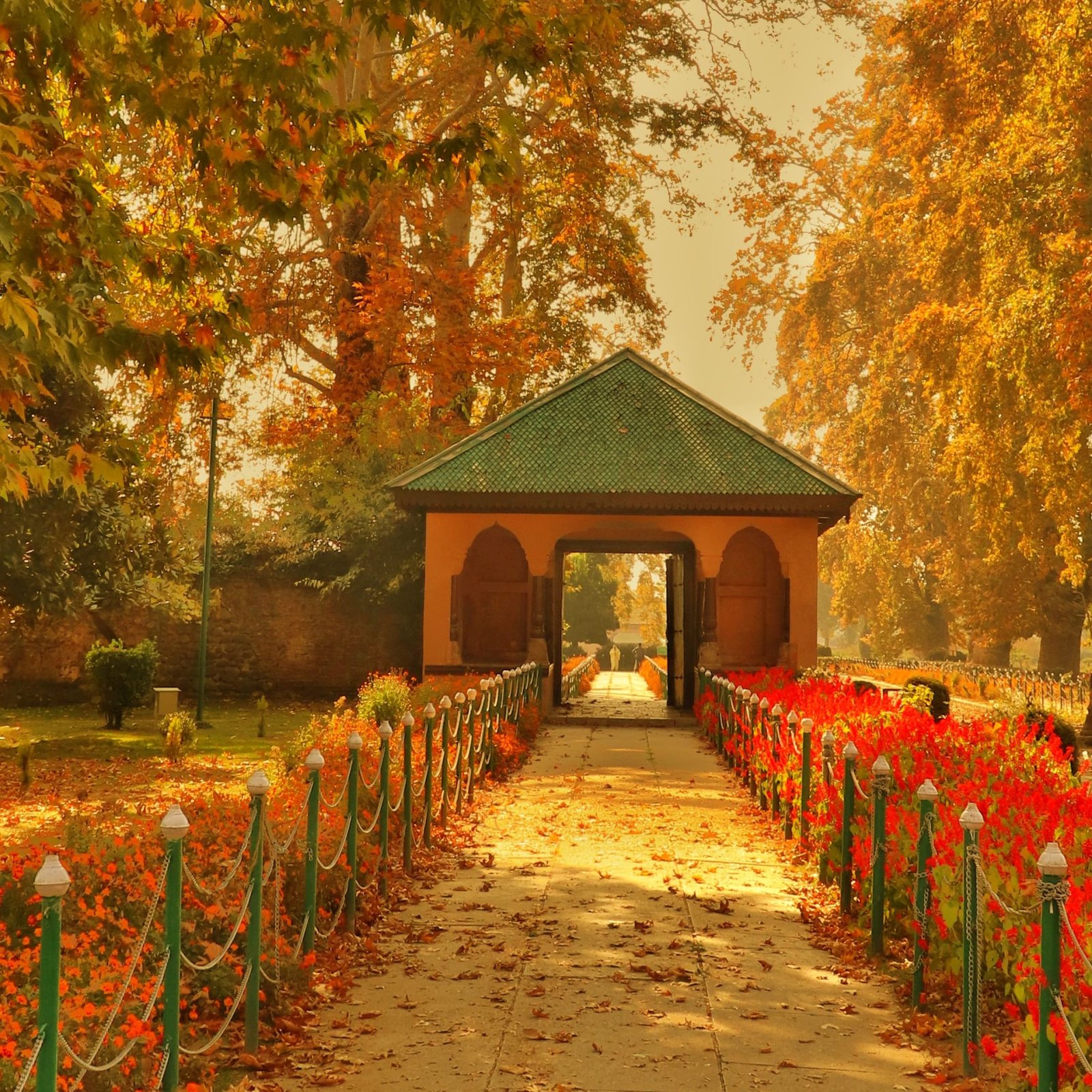 Kashmir in November