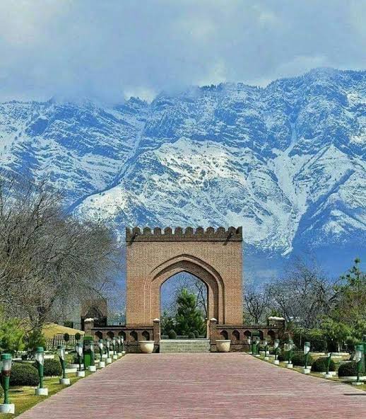 Badamwari Garden, Srinagar: The Almond Blossom Haven of Springtime Beauty