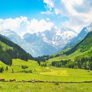 Betaab valley pahalgam charzan holidays