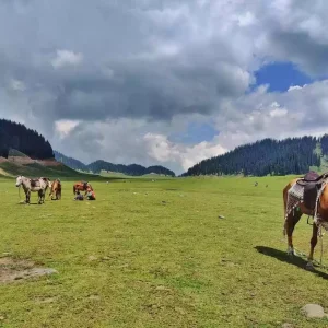 Bungus_valley_kashmir_charzan_holidays