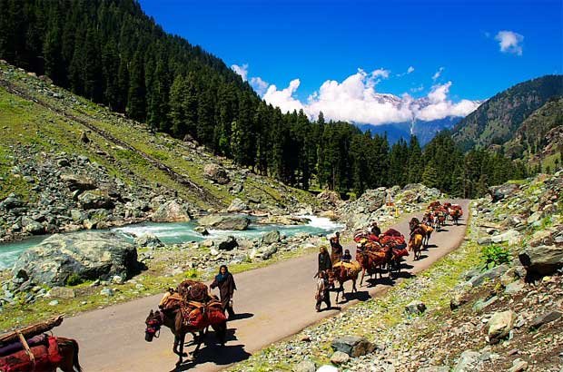 Mini Switzerland, Pahalgam: A Slice of Alpine Paradise