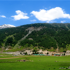 Duksum_valley_kashmir_charzan_holidays