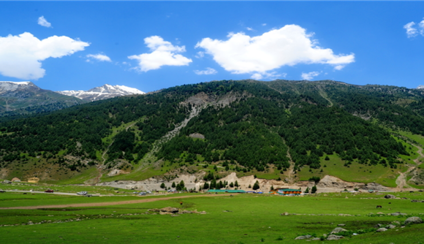 Daksum Valley in Kashmir: A Secluded Gem of Lush Beauty