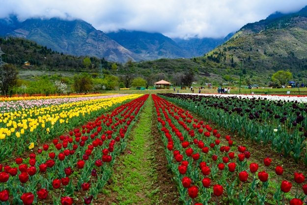 Places to visit in Srinagar