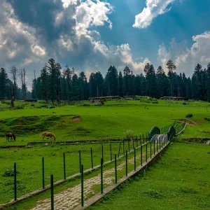 Kashmir-in-June_charzan_holidays