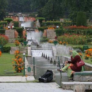 NIshat_garden_srinagar_orgional_charzan_holidays