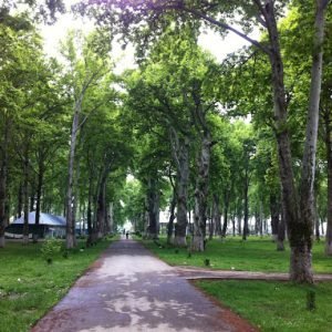 Naseem bagh srinagar charzan holidays