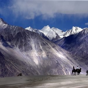 Nubra_Valley_Ladakh_Jammu_and_Kashmir__India_charzan_holidays