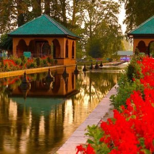 Shalimar_kashmir_charzan_holidays