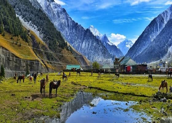 Betaab Valley, Pahalgam : Where Nature’s Serenity Unfolds