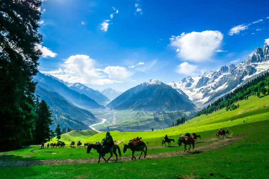 Book Pony Ride in Kashmir