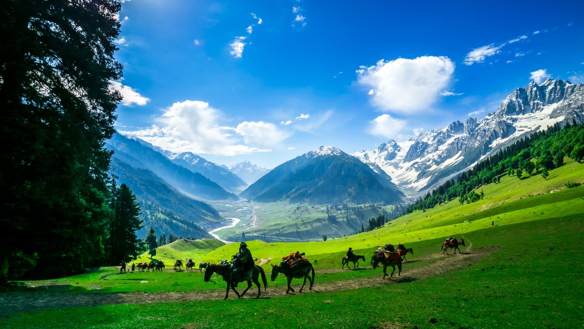 Things to See in Kashmir: Experience the Valley’s Captivating Wonders