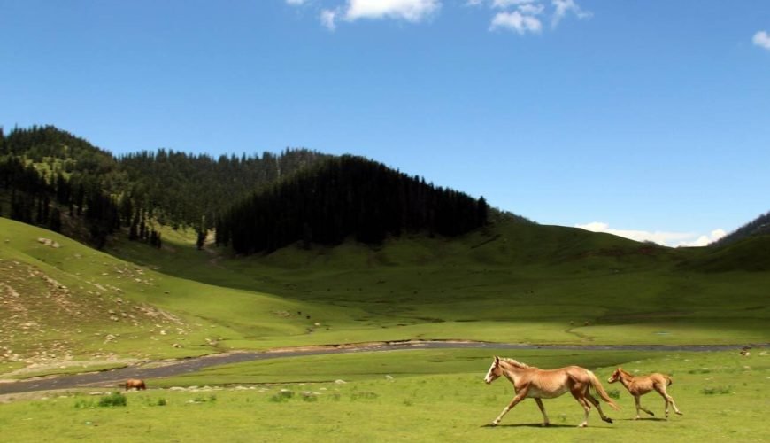 Bungus Valley in Kashmir: A Hidden Haven of Untamed Splendor