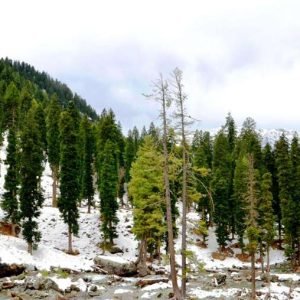 chandanwari pahalgam kashmir charzan holidays