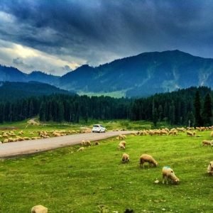 doodhpathri_gulmarg_charzan_holidays