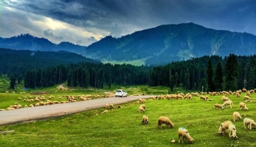 Gulmarg Jammu and Kashmir India