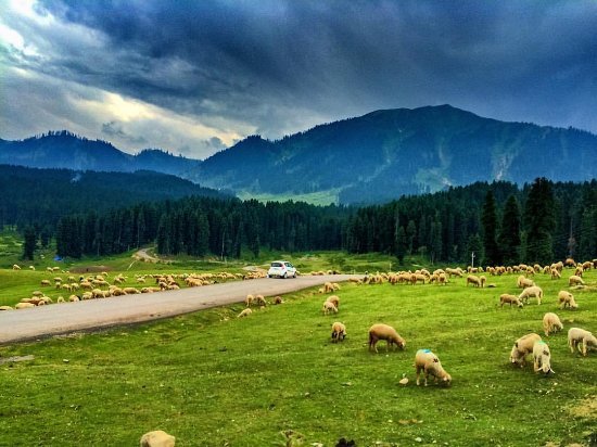 Gulmarg Jammu and Kashmir India