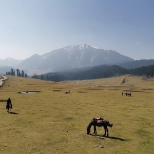 horse-riding-doodpathri_charzan_holidays