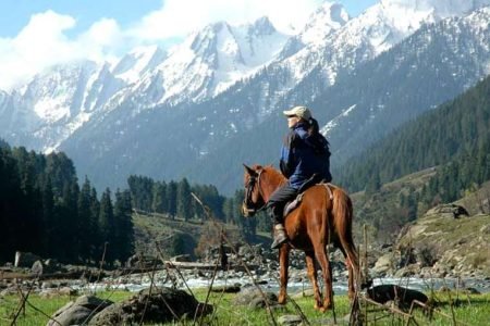 Pony Ride in Kashmir