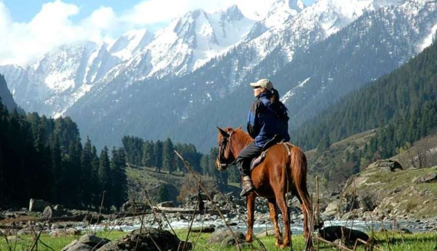 Pony Ride in Kashmir