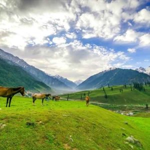 kashmir in July_charzan_holidays