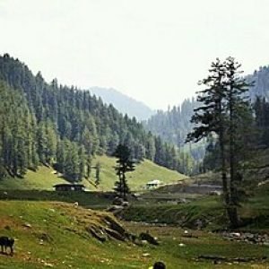 Jai_Valley_charzan_holidays