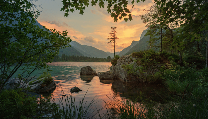 Anchar Lake: The Sleeping Giant of Kashmir’s Wetlands