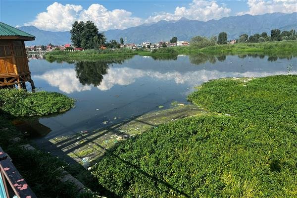 Brari Nambal Lake: The Overlooked Oasis