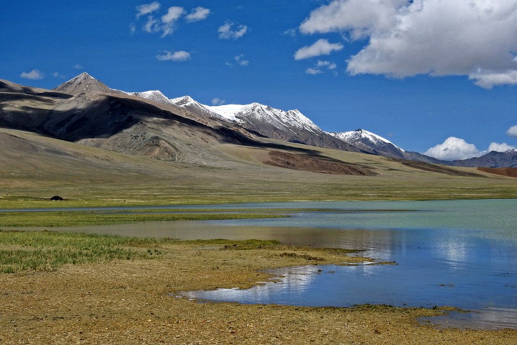 Chilling Tso Lake: Cool vibes, Crystal waters