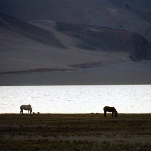 chillingtso-lake_charzan_holidays