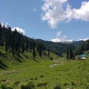 chinta-valley_charzan_holidays