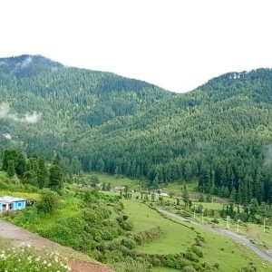 chinta_valley_charzan_holidays