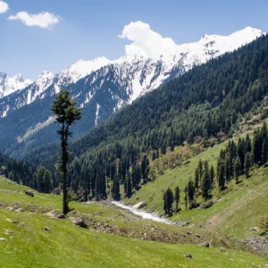 lidder kashmir charzan holidays