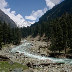 lidder_valley_kashmir_charzan_holidays