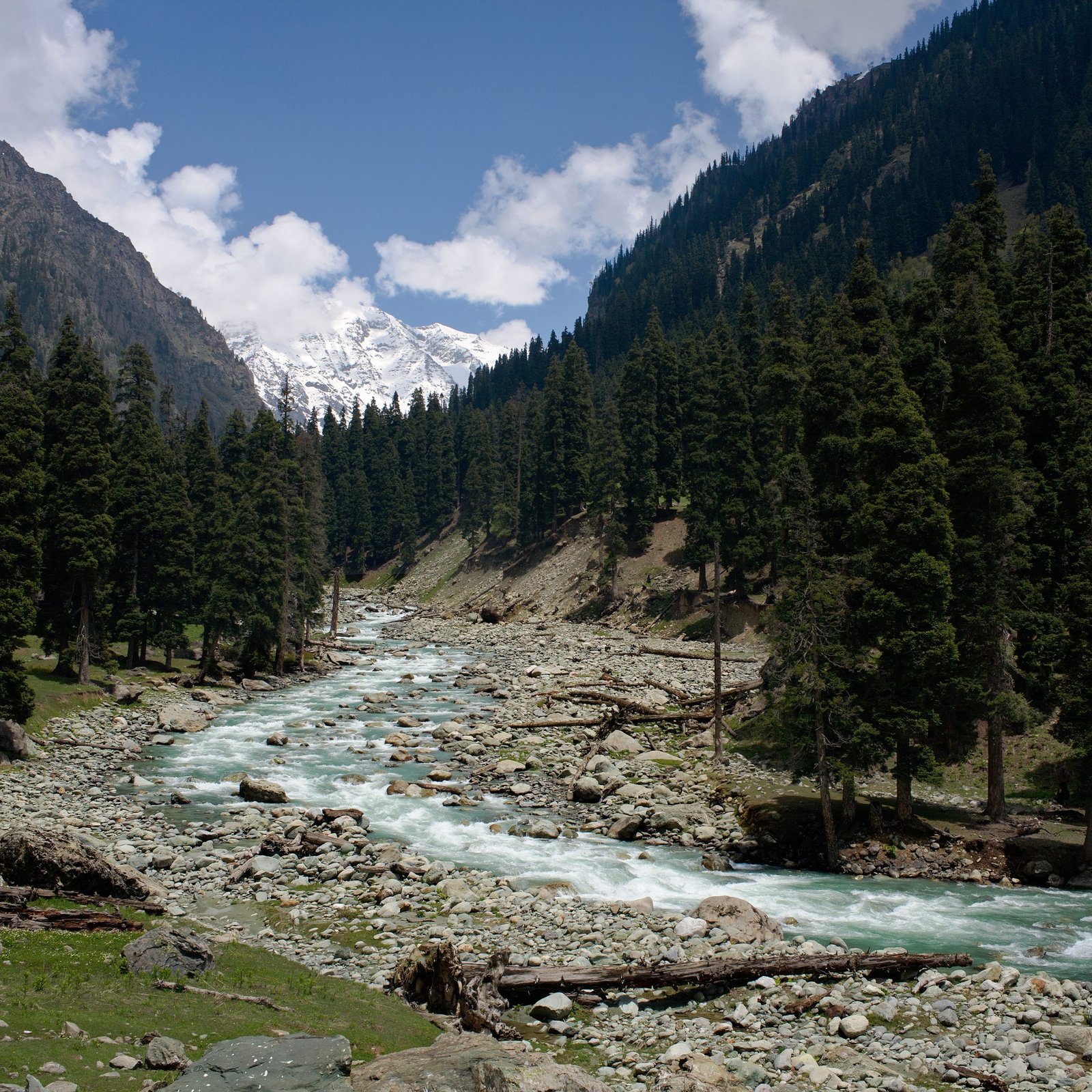 lidder valley kashmir charzan holidays scaled