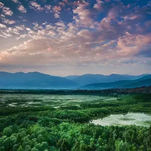 Kashmir in August