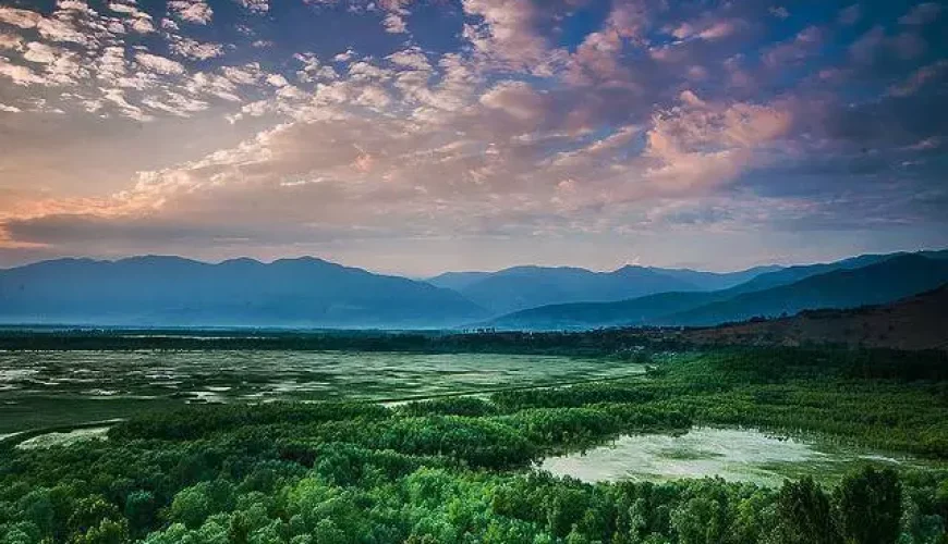 Kashmir in August