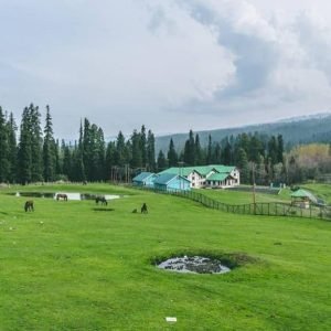 yusmarg_kashmir_charzan_holidays