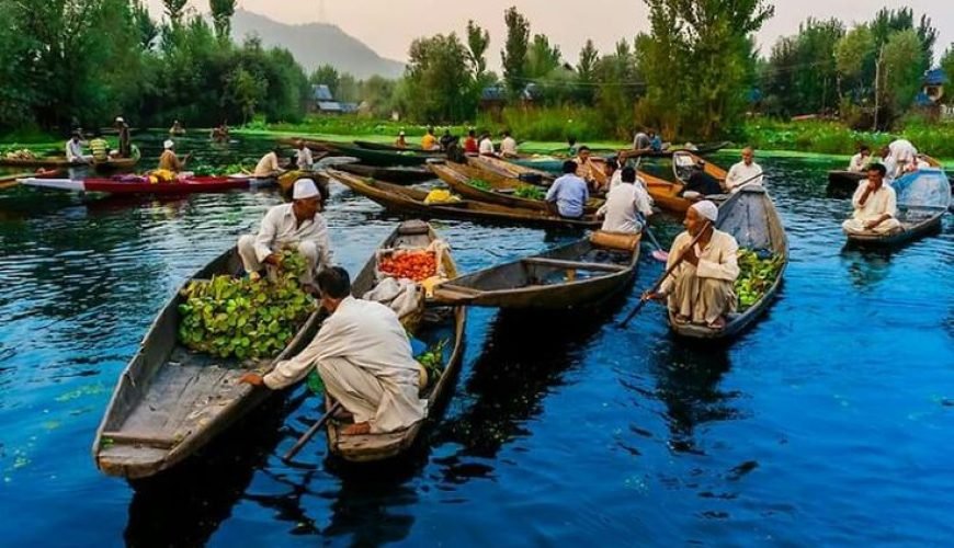Dal lake floating Market