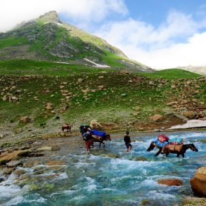 Kashmir in July