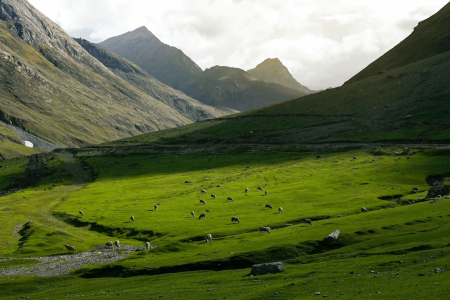 Gulmarg Sightseeing