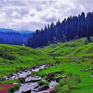 gulmarg kashmir charzan holidays