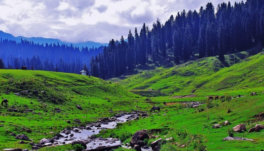 Kashmir Tour Packages