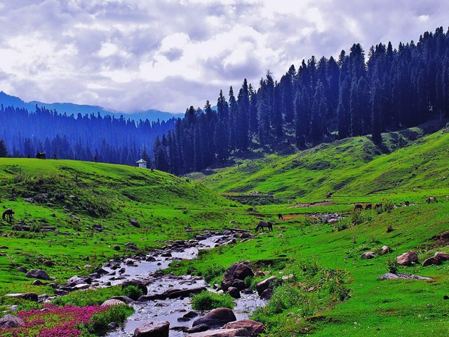 Kashmir Tour Packages